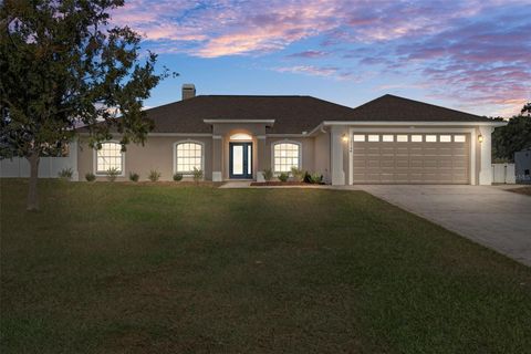 Photo of 10248 Dusty Hill Loop, Dade City, FL 33525 (MLS # W7880494)