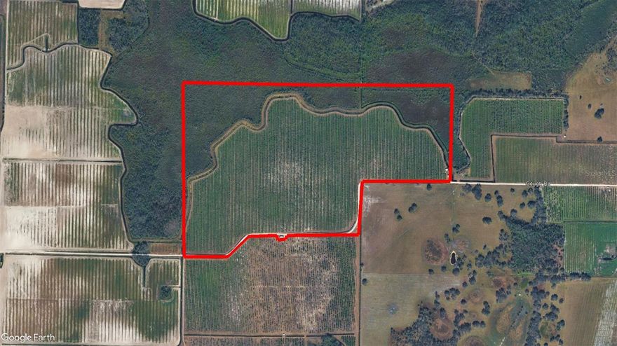 184+ acres in Myakka City, Florida located on Hardee/Manatee County line. This versatile property offers a wide range of potential uses. Ideal for farming, agricultural ventures, or recreational activities. Permitted deep water well in place. Easy access to Highway 64 just 5 minutes to the North.