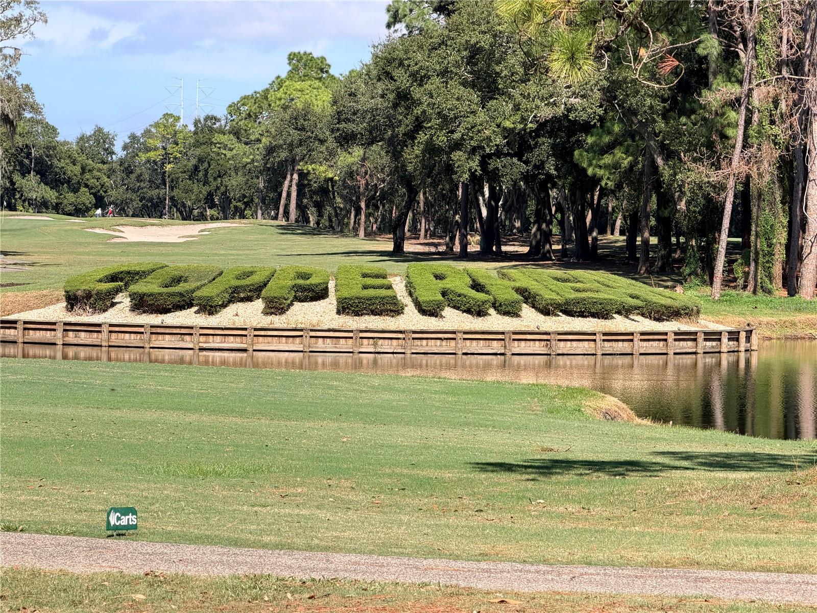 INNISBROOK - Residential