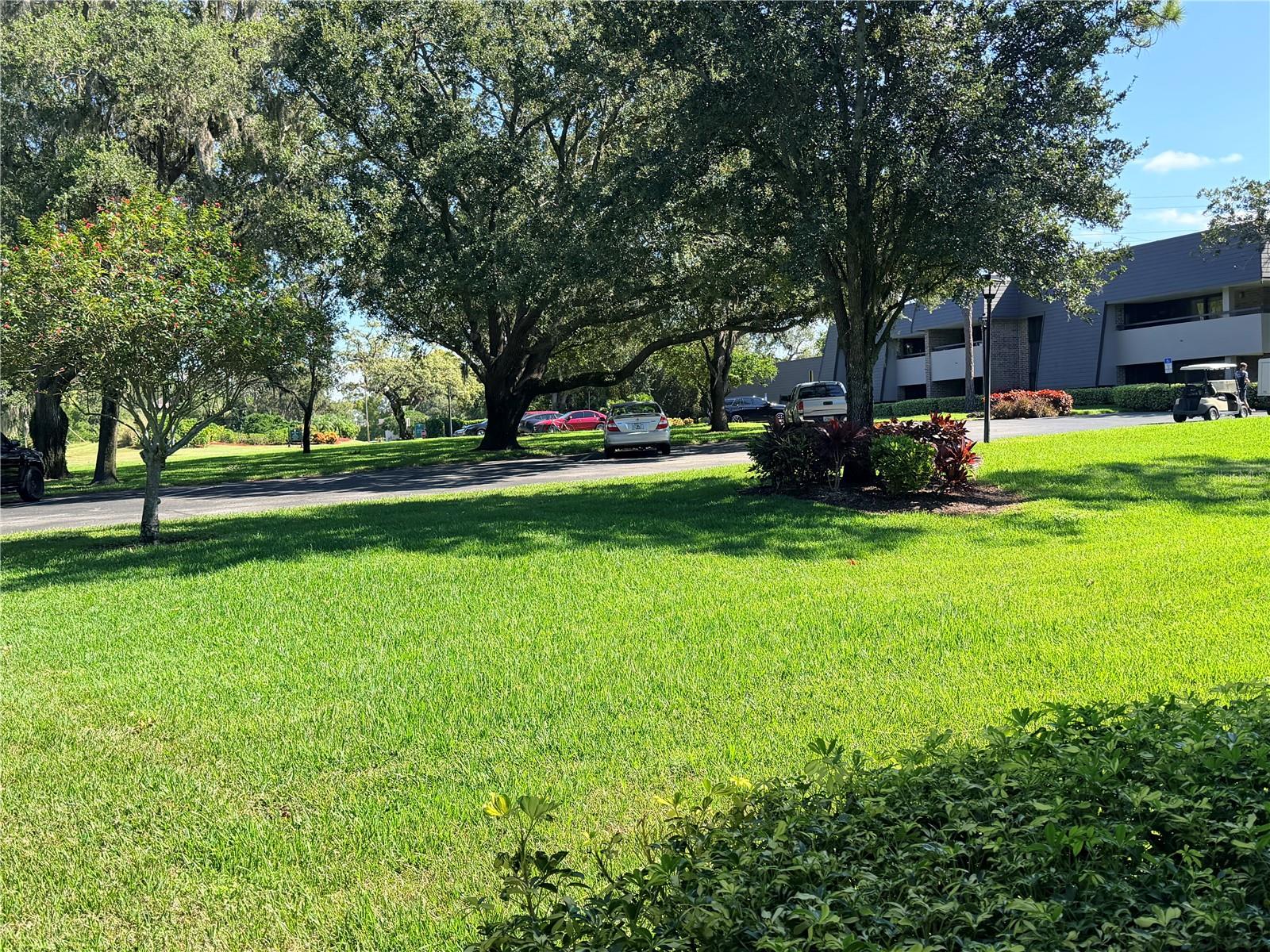 INNISBROOK - Residential