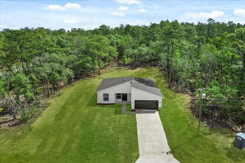 Photo of 6571 N Bedstrow Boulevard, Dunnellon, FL 34434 (MLS # O6304672)