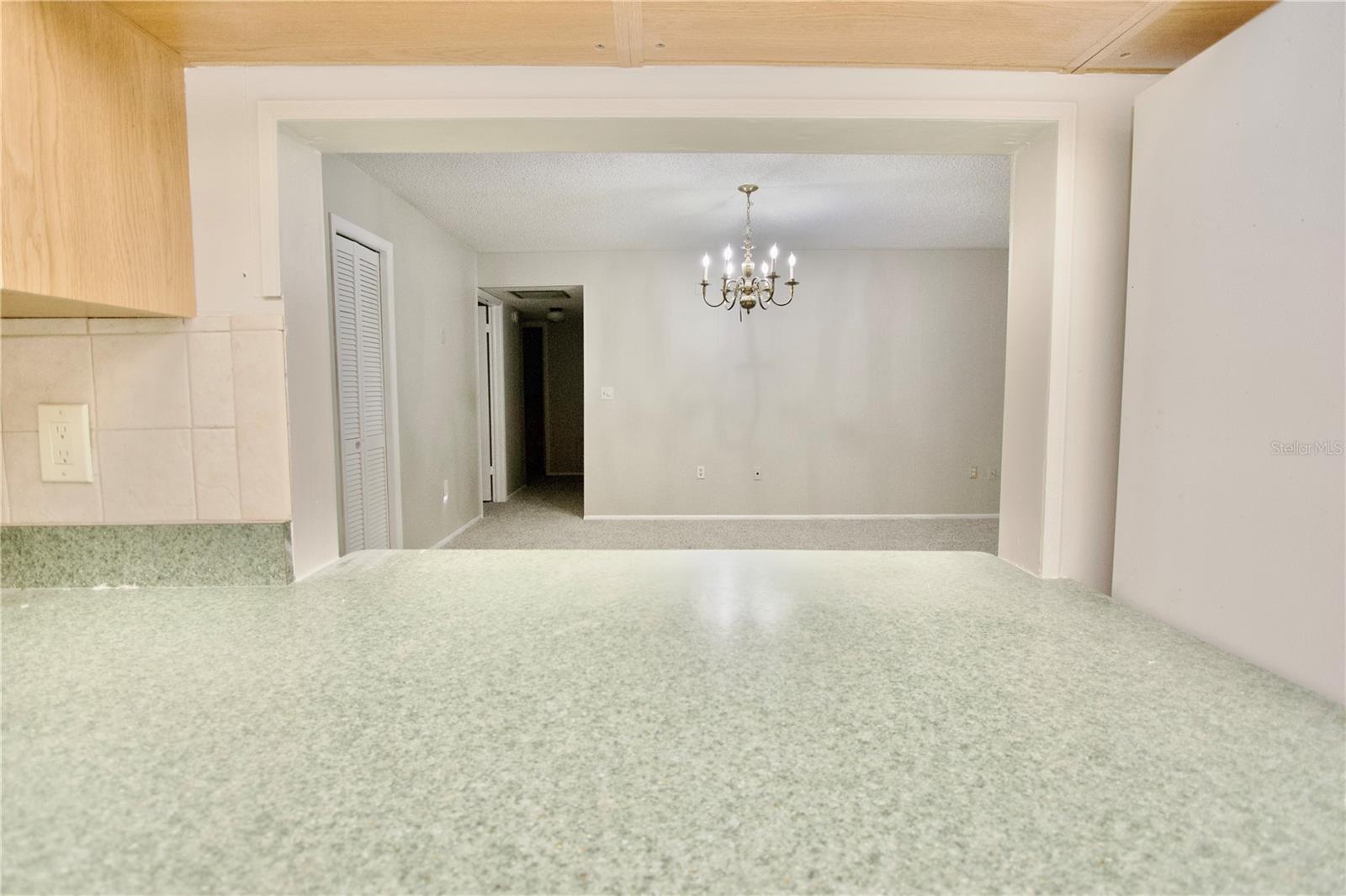 RAINTREE VLG CONDO - Residential