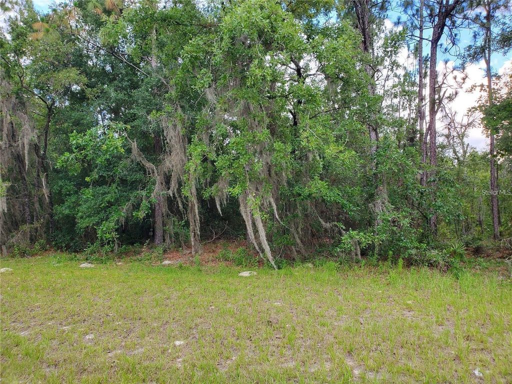 Photo of 8650 SW 138 Lane, Ocala, FL 34473 (MLS # OM718472)
