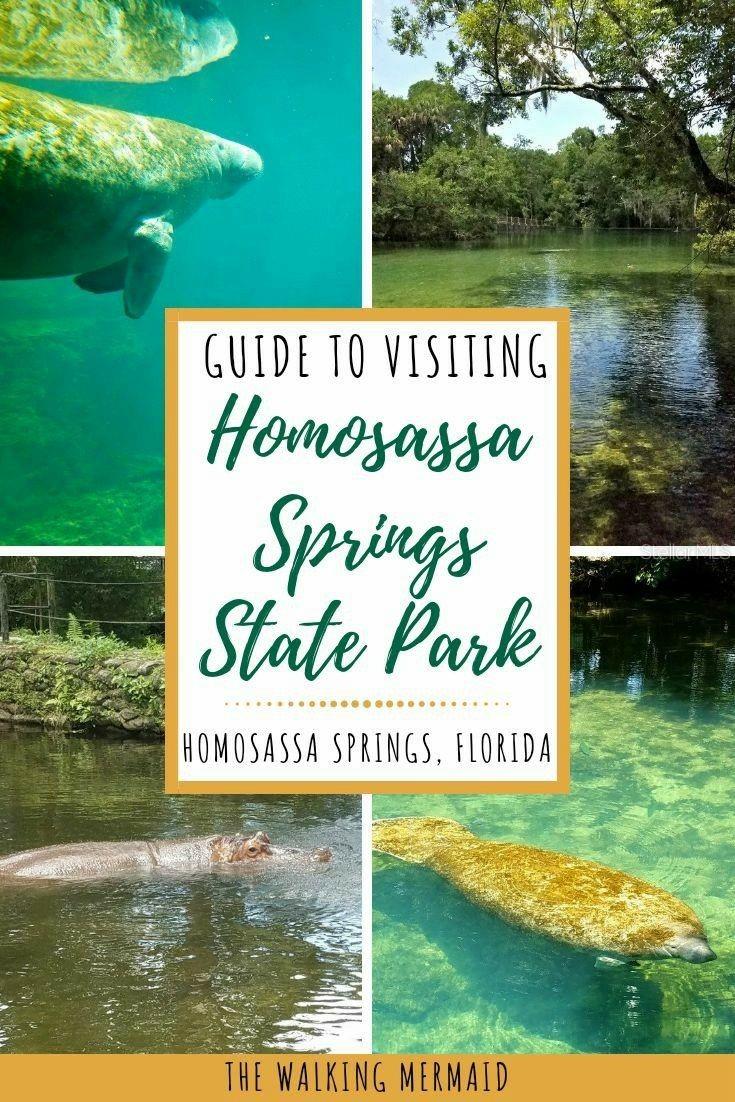 HOMOSASSA UNIT 05 - Land