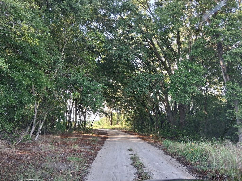 Photo of 16451 Forrest Lane, Groveland, FL 34736 (MLS # G5111569)