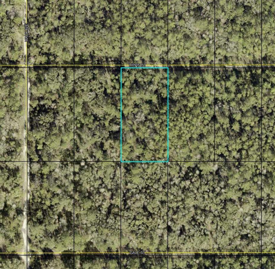 See realtor remarks. Check out and purchase this OVERSIZED 1.14 ACRE LOT in Florida's fastest-growing city! This ELEVATED and DRY parcel offers a solid foundation; perfect for your future construction projects. Ideal for investors and buyers looking to secure an investment opportunity and capitalize on rapid SUBURBAN growth!