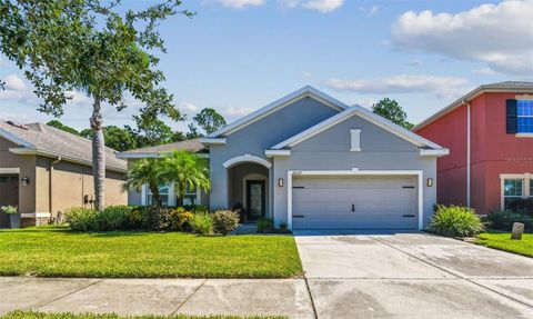 Photo of 20237 Autumn Fern Avenue, Tampa, FL 33647 (MLS # TB8426893)