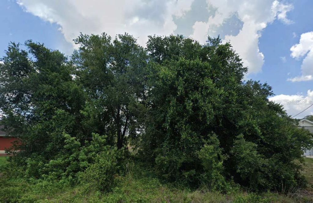 Photo of 2810 51st Street SW, Lehigh Acres, FL 33976 (MLS # O6319754)