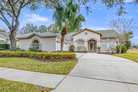 Photo of 10246 Timberland Point Dr, Tampa, FL 33647 (MLS # TB8475779)