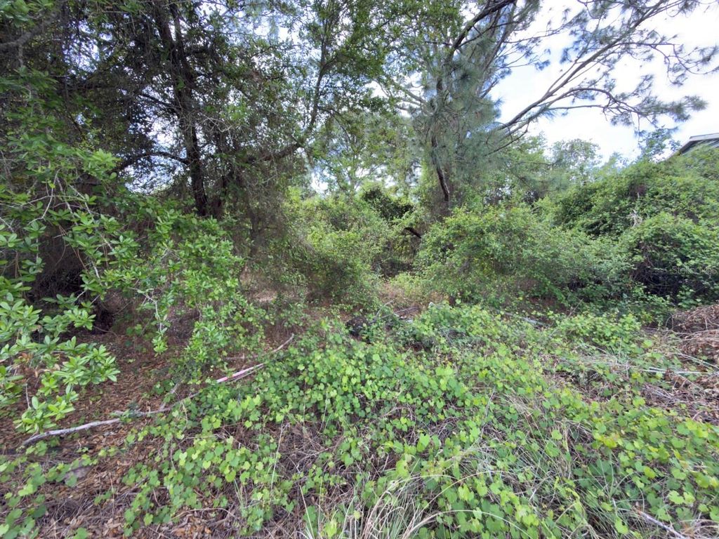 Photo of 4529 28th Street SW, Lehigh Acres, FL 33973 (MLS # C7524387)