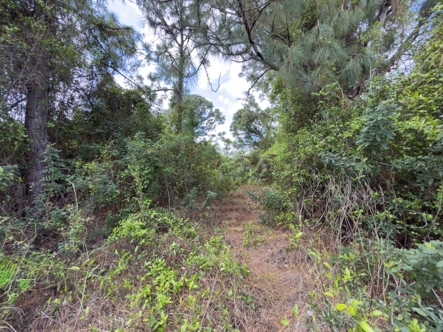 LEHIGH ESTATES - Land