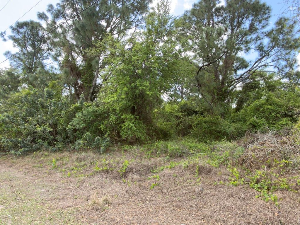 Photo of 4529 28th Street SW, Lehigh Acres, FL 33973 (MLS # C7524387)