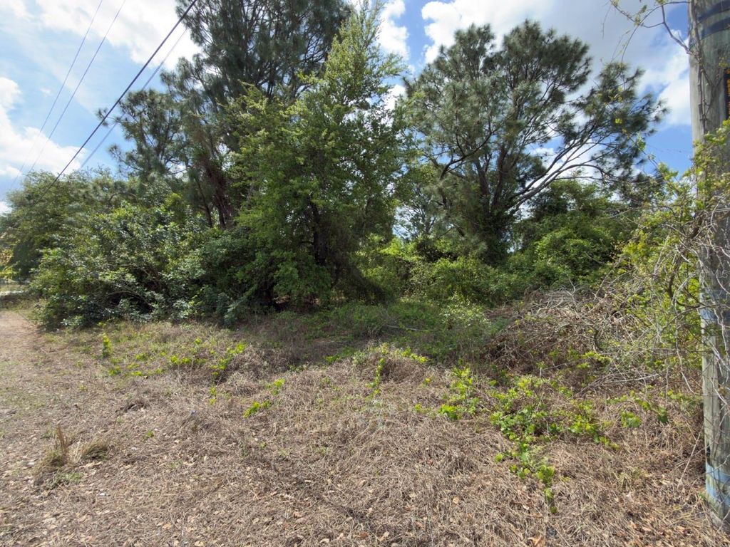 Photo of 4529 28th Street SW, Lehigh Acres, FL 33973 (MLS # C7524387)