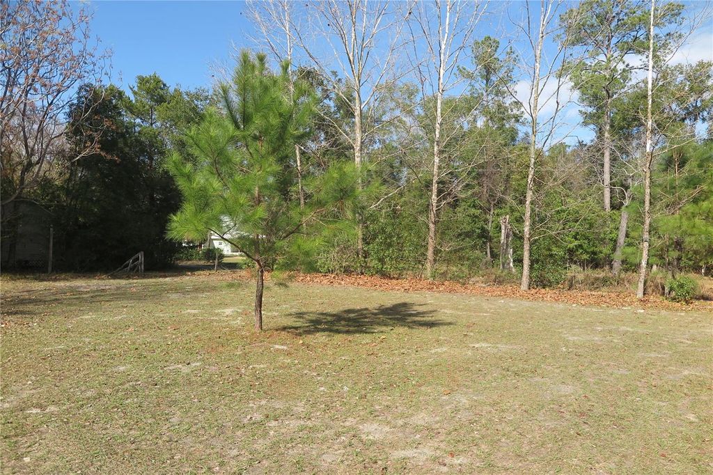 Photo of 21315 NE 35th Place, Hawthorne, FL 32640 (MLS # GC537493)