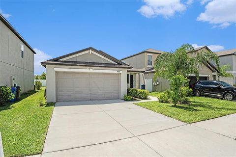 4009 GLOBE THISTLE DRIVE TAMPA FL 33619