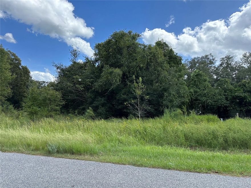 Build your dream Home on this water front lot that is almost a full acre on Lake Hernando! Mobile homes allowed! Electricity at the street. Paved road for easy access.