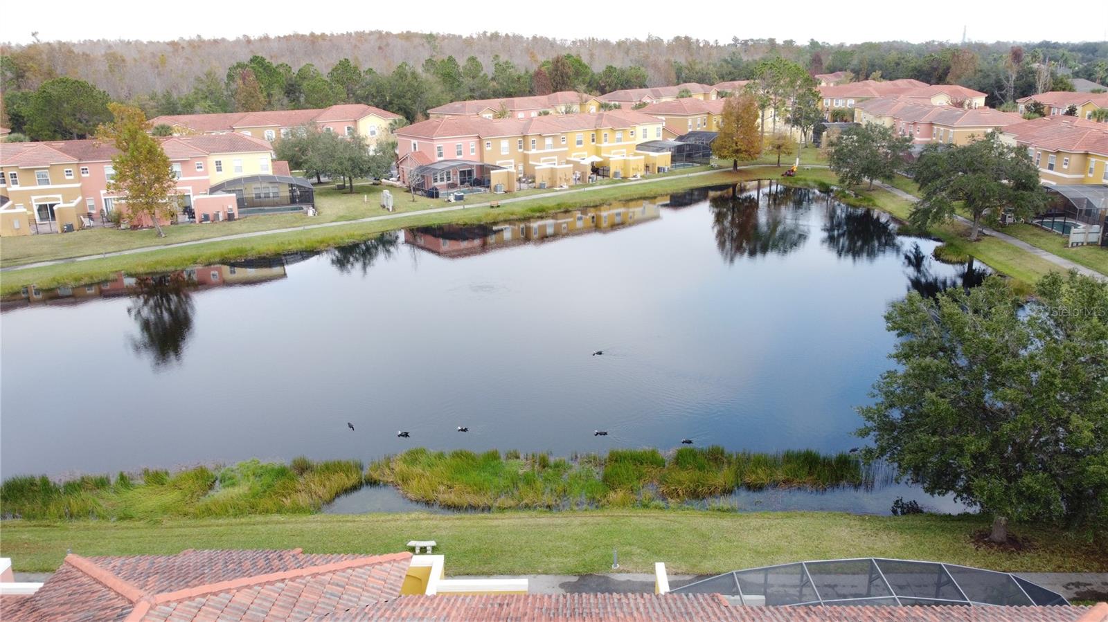 TERRA VERDE VILLAS PH 2 - Residential