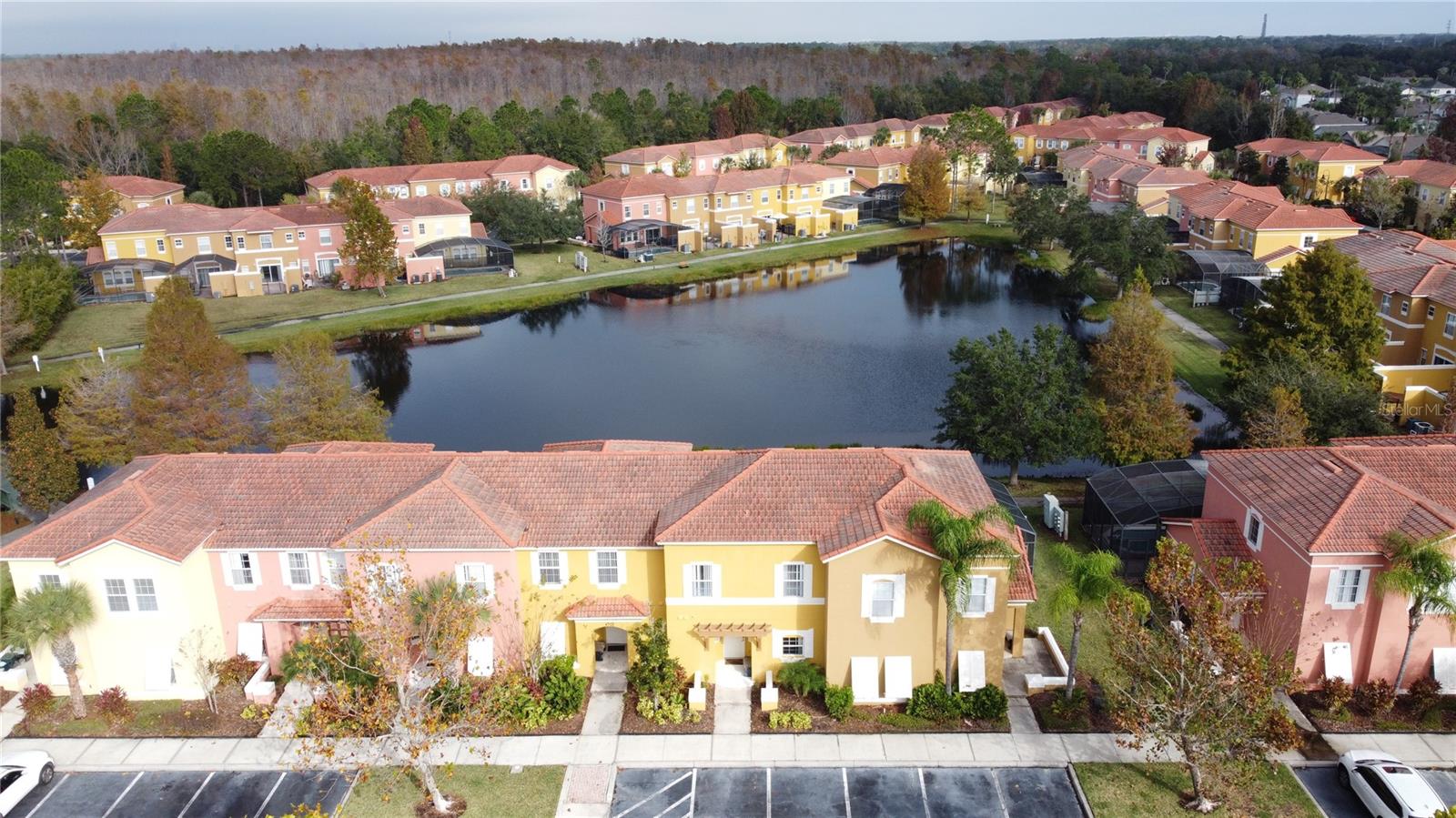 TERRA VERDE VILLAS PH 2 - Residential