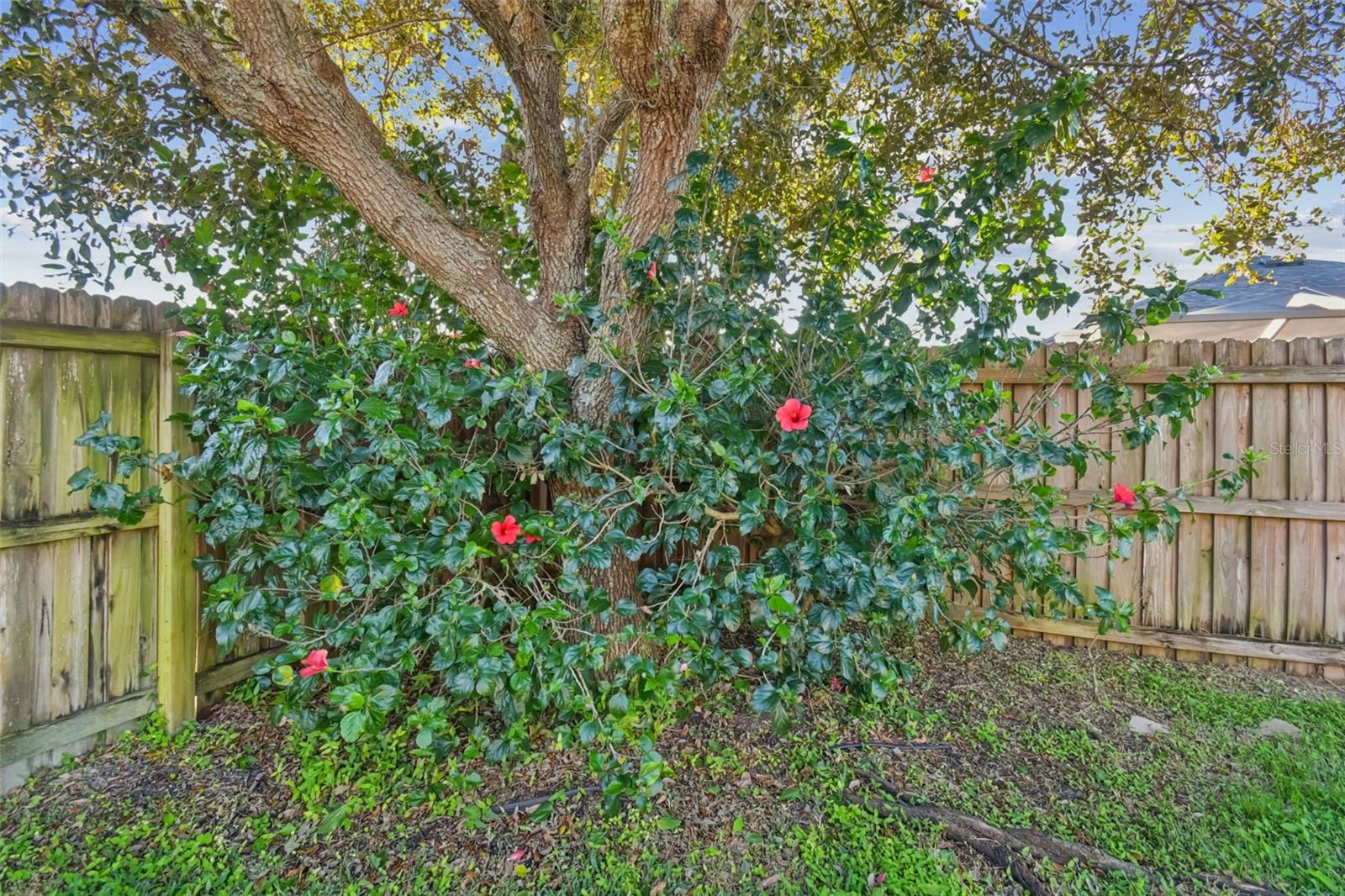 SOUTH FORK UNIT 6 - Residential