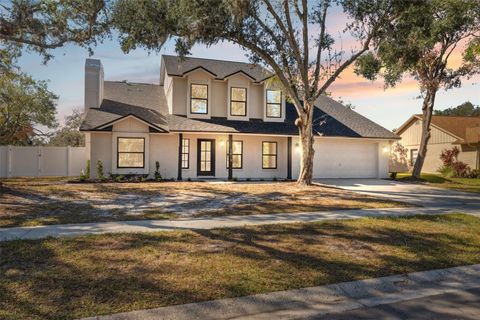 A home in VALRICO