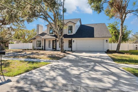 A home in VALRICO