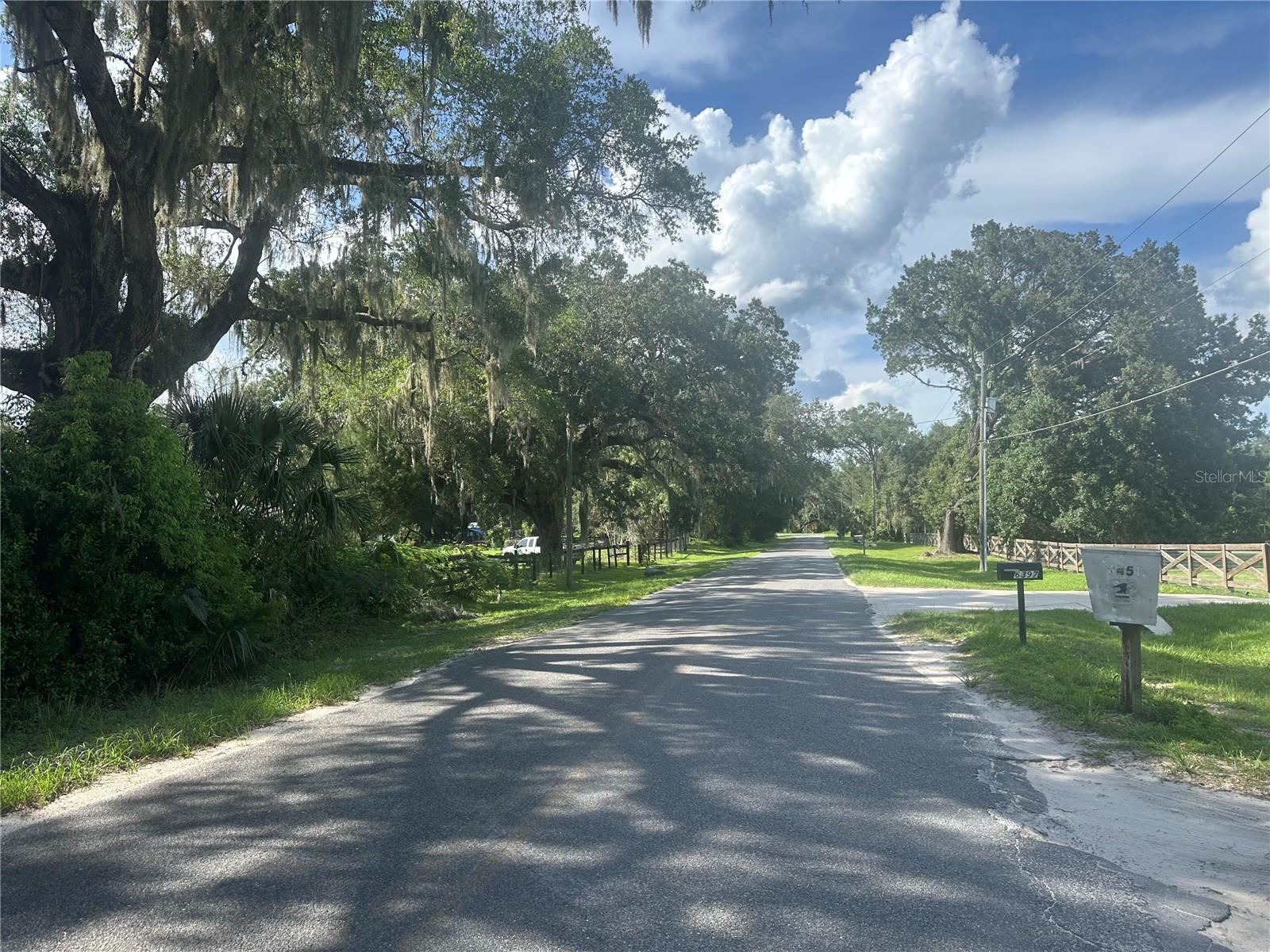 Rare opportunity to own just under 4 acres of fully wooded land located between Ocala and Belleview. This flag lot offers exceptional privacy and seclusion, set back from the main road while still providing convenient access to nearby shopping, schools, and amenities. The property features mixed-use zoning, allowing for both mobile homes and site-built homes, making it an ideal site for a variety of residential uses. With larger parcels becoming increasingly hard to find in this area, this property offers a unique chance to build your dream home in a peaceful, natural setting. Don't miss your chance to secure this versatile and private piece of land.