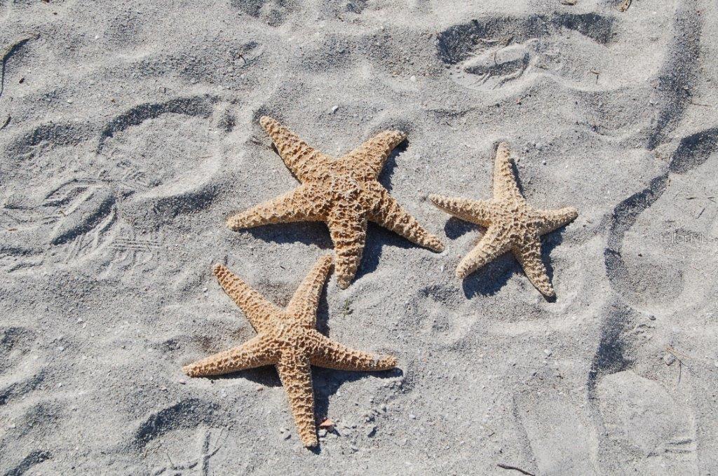 SANCTUARY III - Residential