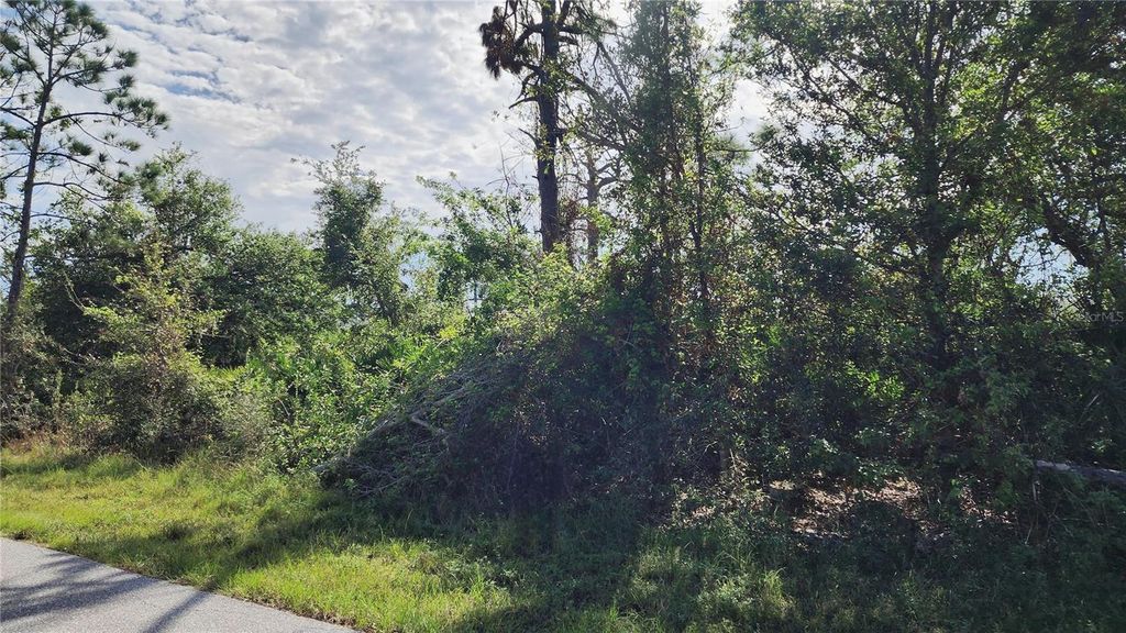 Photo of 11921 Florence Avenue, Port Charlotte, FL 33981 (MLS # C7500184)