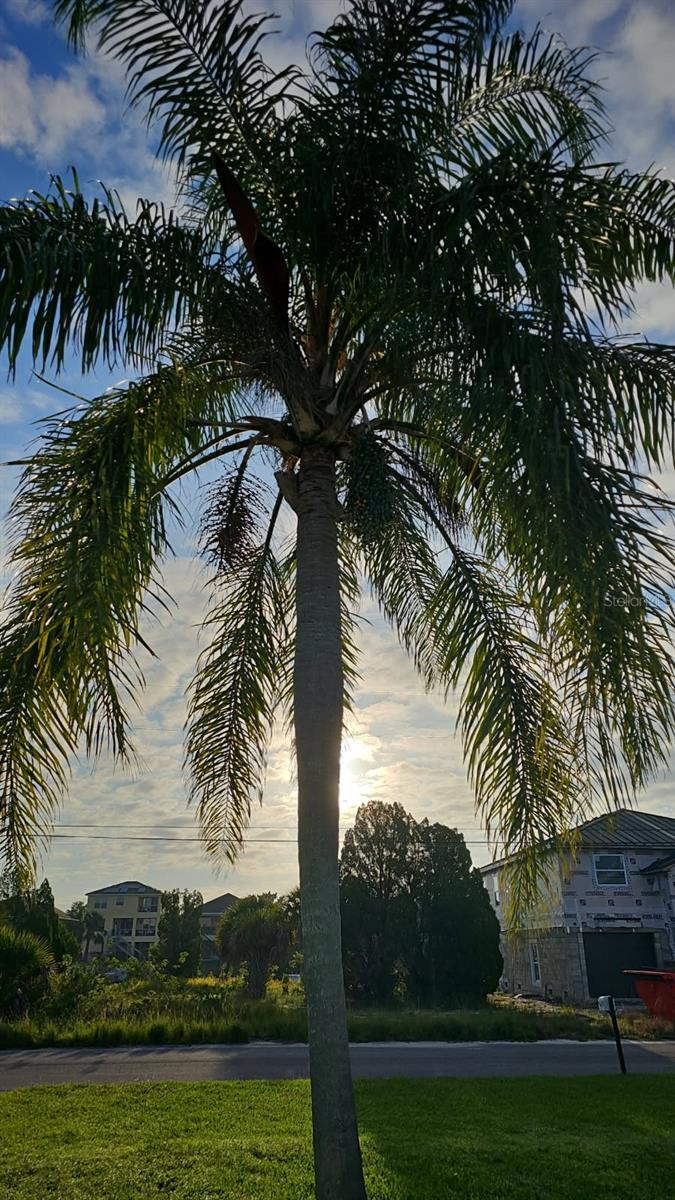 HERNANDO BEACH - Residential