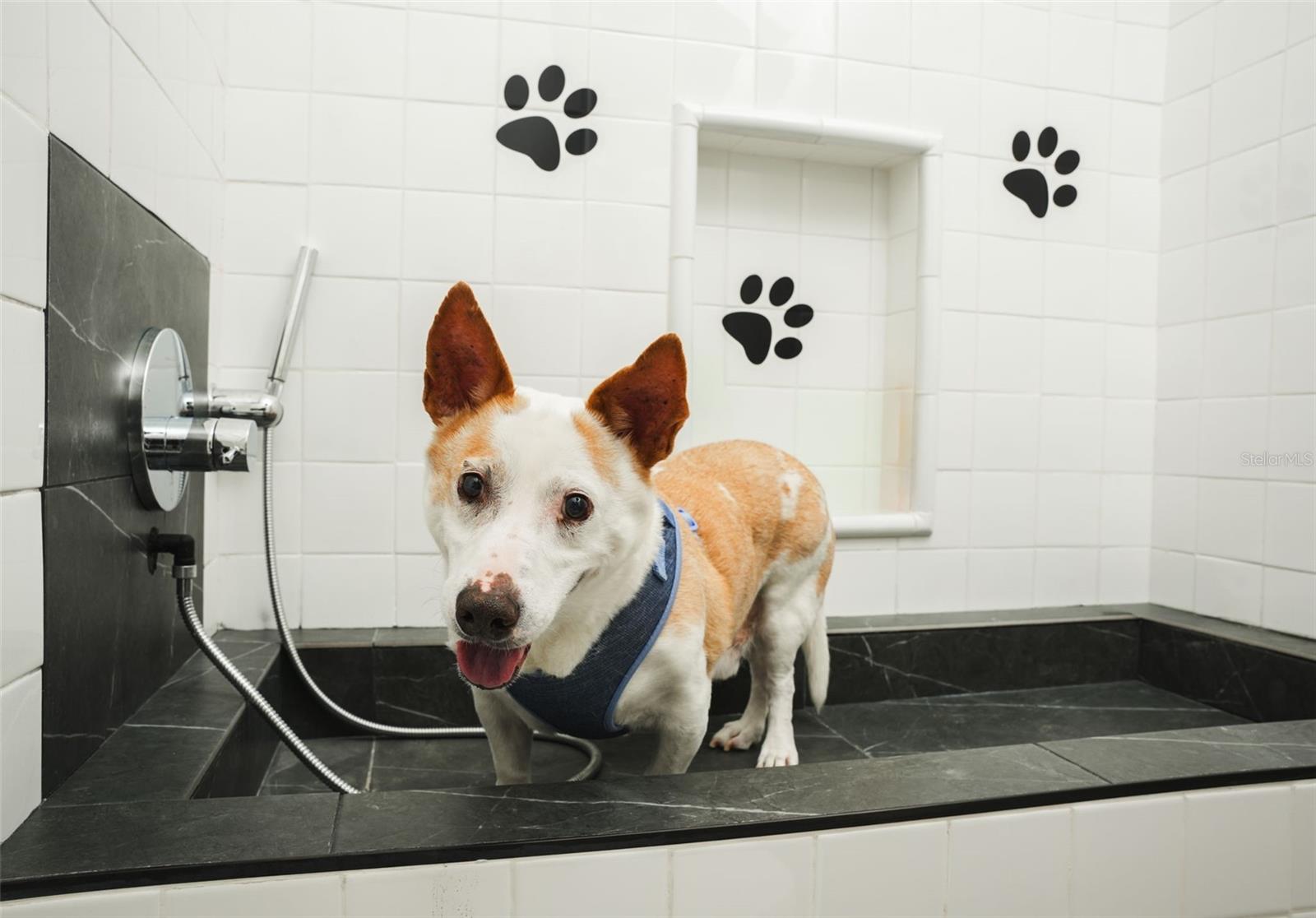 DORADO BEACH EAST - Residential