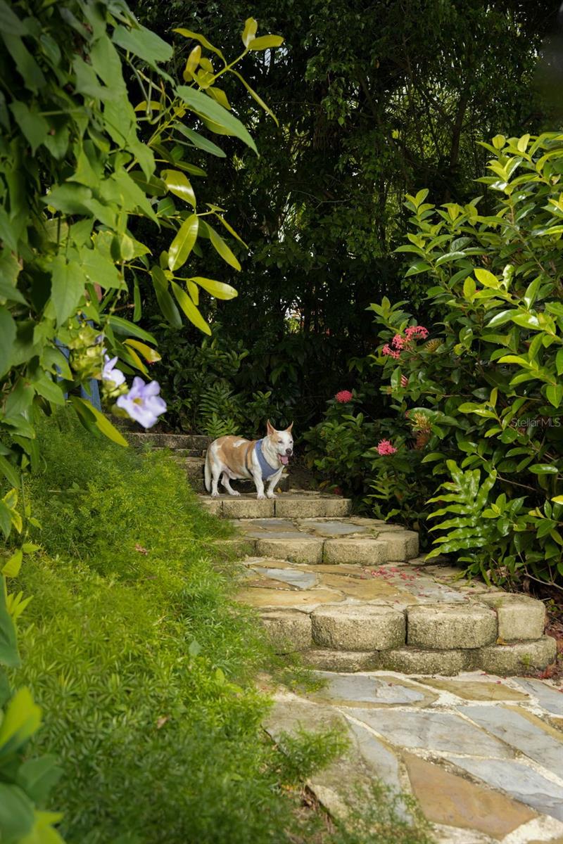 DORADO BEACH EAST - Residential