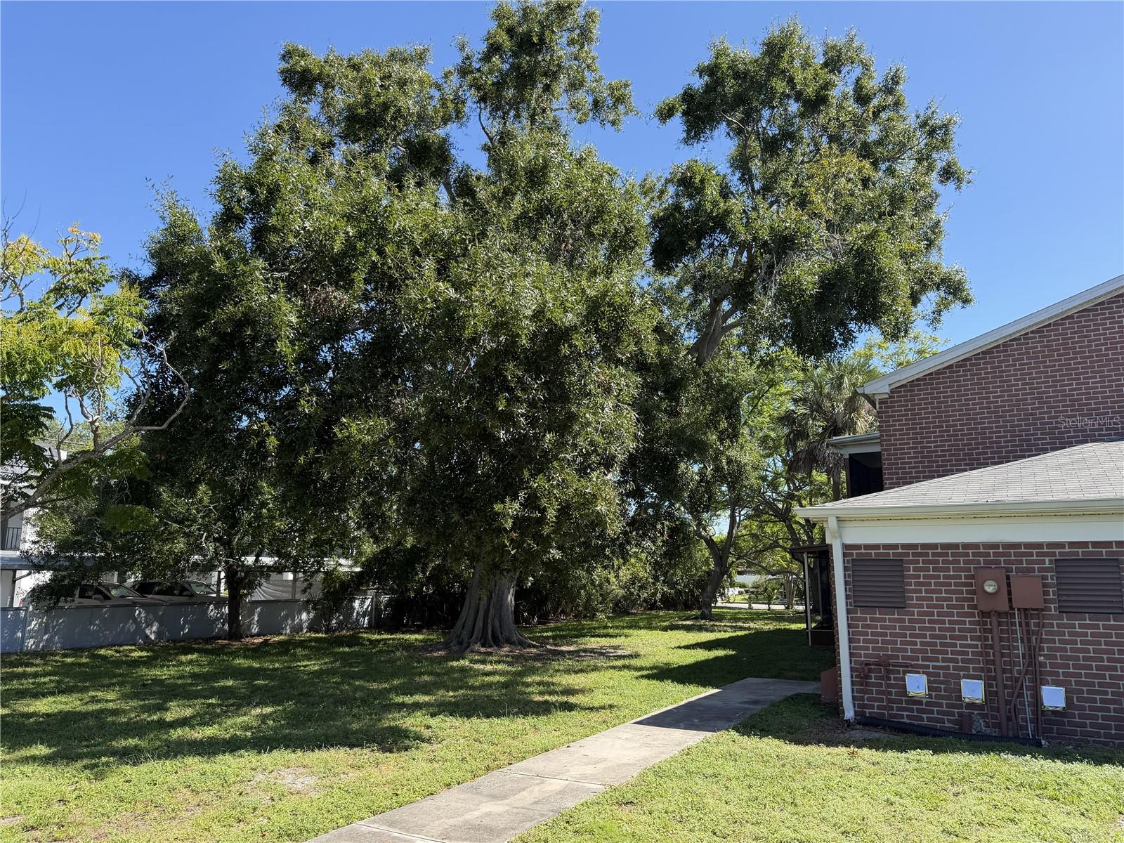 JAMESTOWN CONDO - Residential