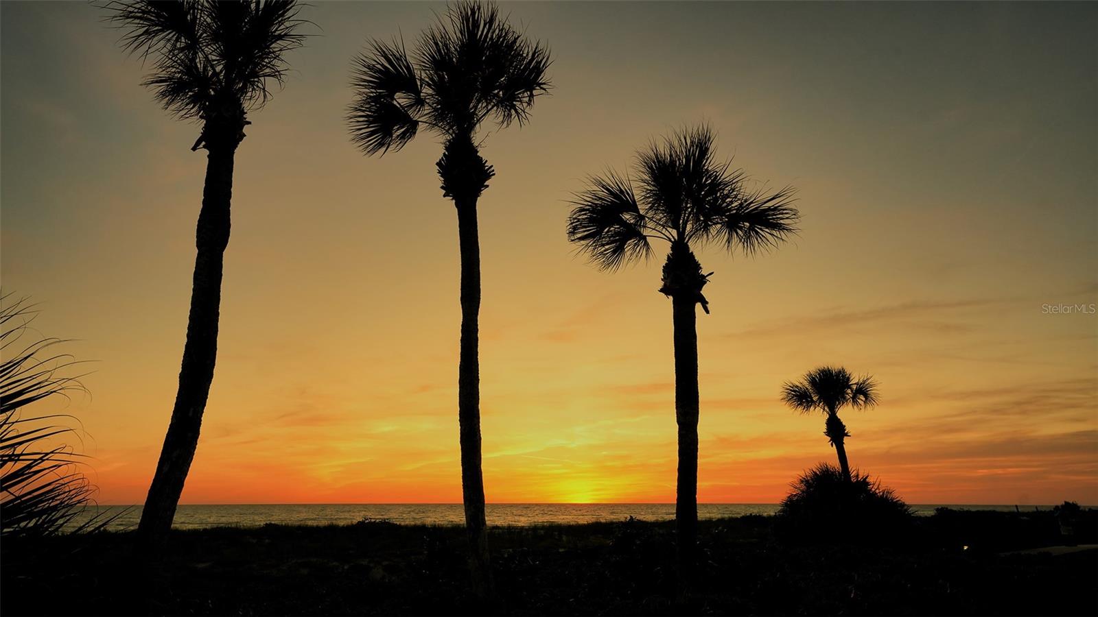 SEAPLACE II - Residential