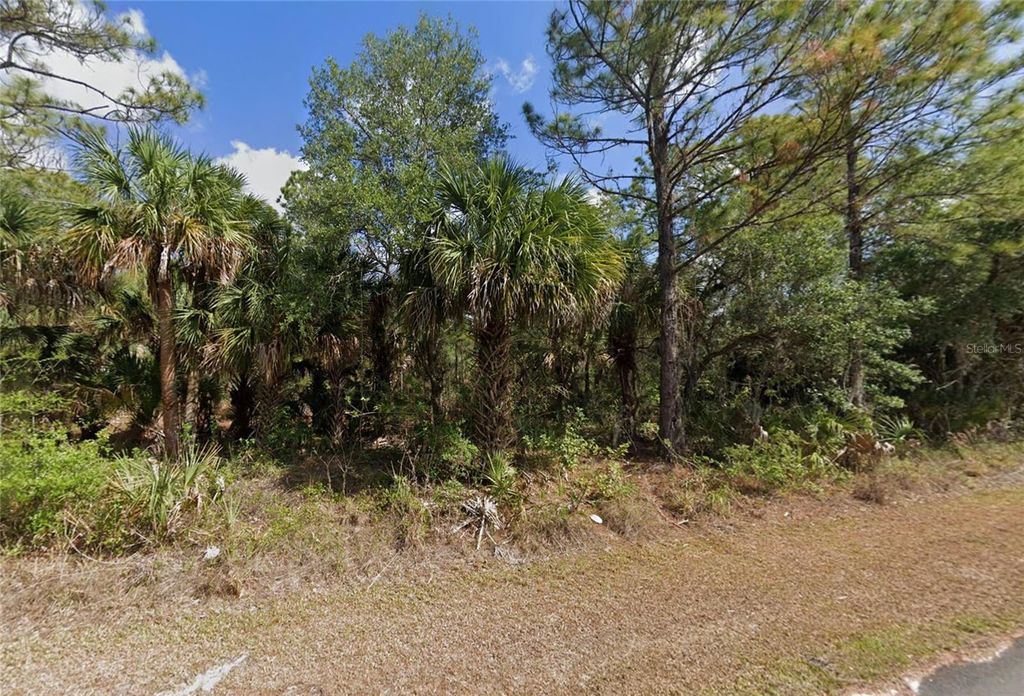 Photo of 1415 Rambler Terrace, Port Charlotte, FL 33953 (MLS # D6140388)