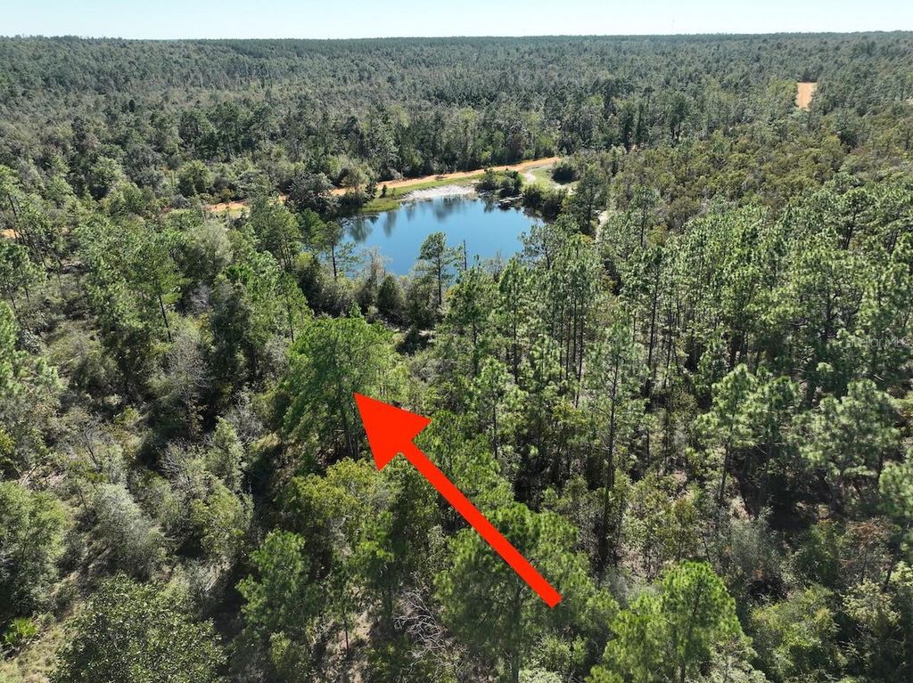 Photo of Richland Street, Alford, FL 32420 (MLS # O6363876)