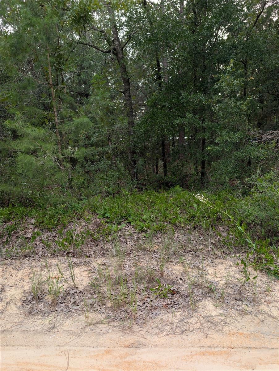PINEWAY DRIVE