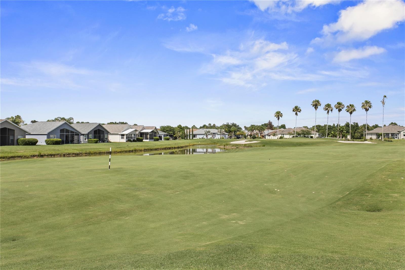 29255 GRASS BUNKER DRIVE