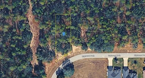 29 HIGHWOOD PATH HOMOSASSA FL 34446