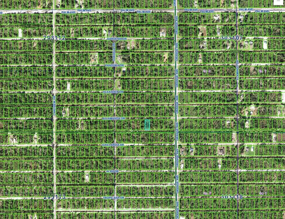 INDIAN LAKE ESTATES - Land