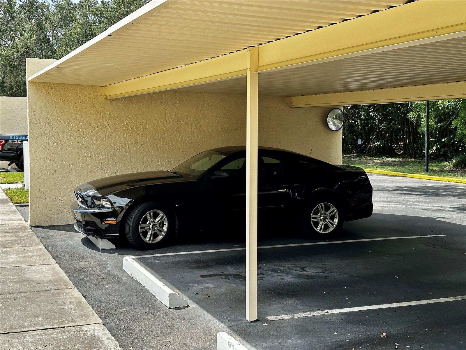 SEAPOINTE TERRACE CONDO - Residential