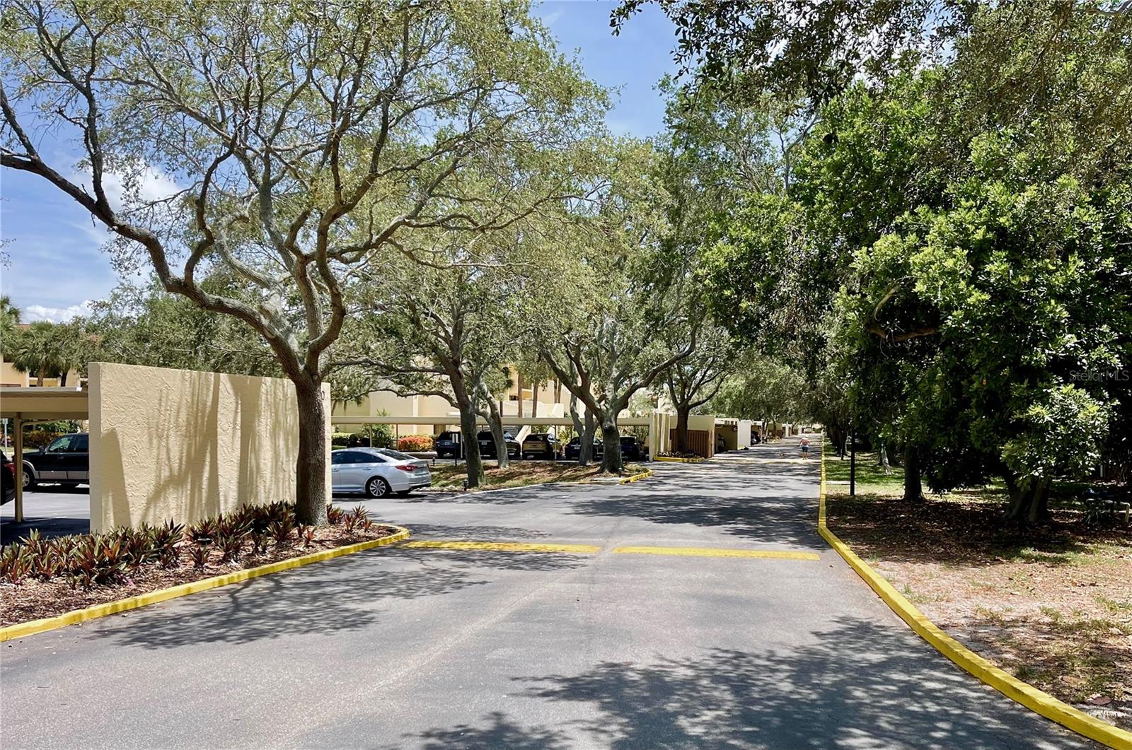 SEAPOINTE TERRACE CONDO - Residential