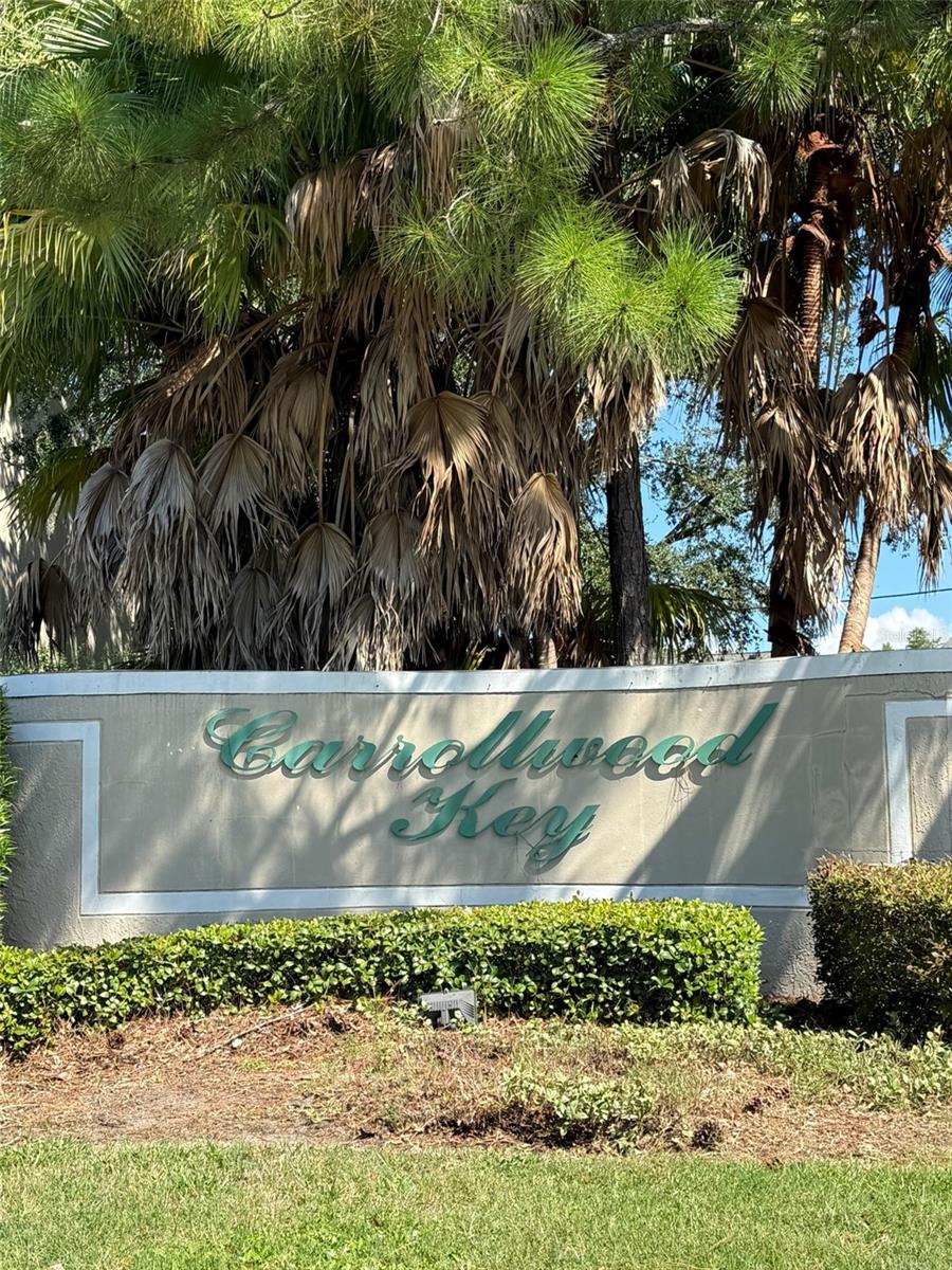 Beautiful town home in conveniently located Carrollwood Key. This amazing community is adjacent to a conservation area and offers endless woodland views. This town home features a spacious living area on the main floor, complete with a convenient half bath. The Engineered hardwood floors on the stairs and throughout the 2nd floor is definitely a nice upgrade. Upstairs, vaulted ceilings enhance the sense of space of the generously sized bedrooms and huge bathroom that's shared for both bedrooms. Unwind on your screened lanai and enjoy the picturesque park like view or connect with neighbors at the community pool and clubhouse. Carrollwood Key is pet-friendly, offering dedicated dog-walking areas, so your furry friend will feel right at home. Perfectly situated near major highways for easy commuting, it’s just minutes from shopping, dining, entertainment, and the popular Carrollwood Village Park. This home is beautiful and ready for your personal touch – a great value in a peaceful, convenient setting!