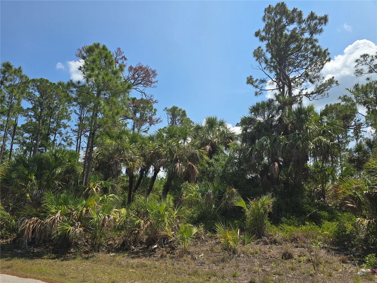 PORT CHARLOTTE SUB 24 - Land