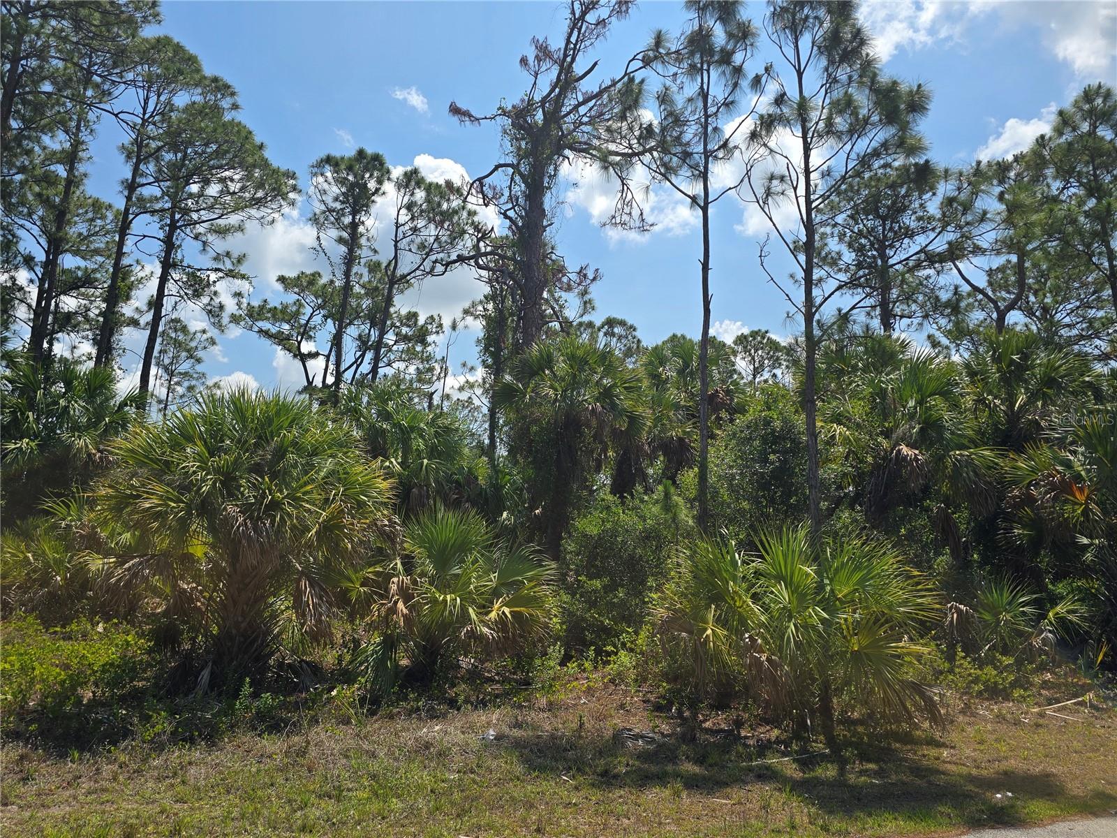 PORT CHARLOTTE SUB 24 - Land