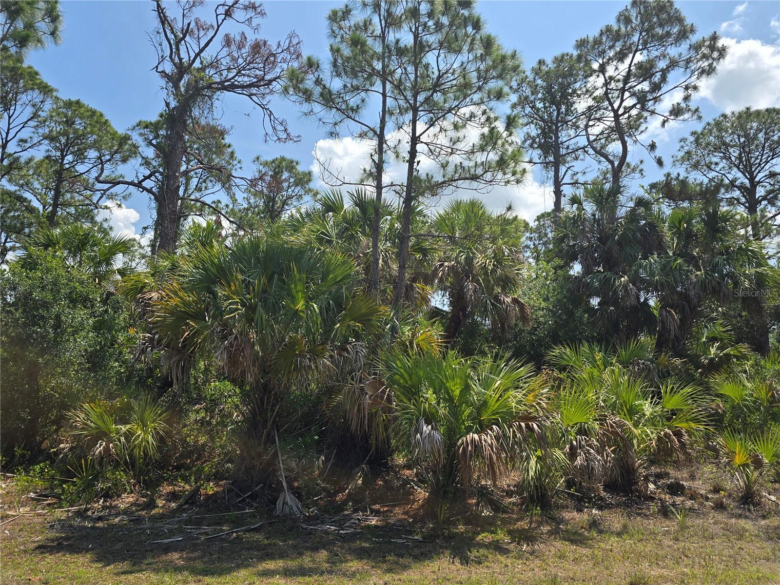 PORT CHARLOTTE SUB 24 - Land