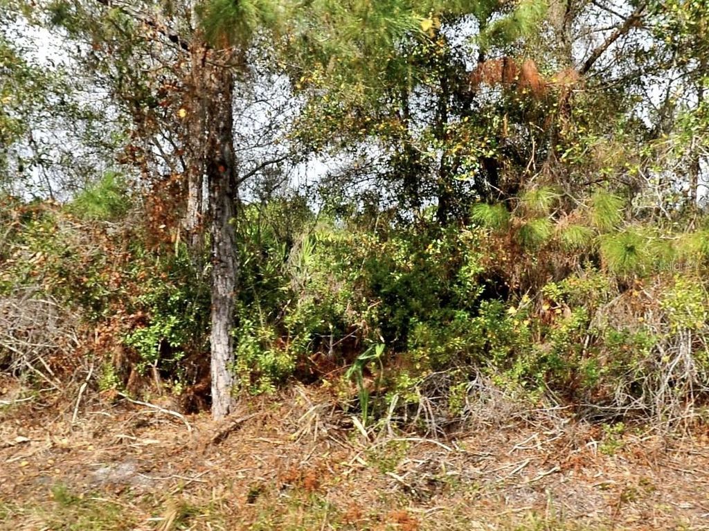 Photo of Ohio Road, North Port, FL 34291 (MLS # A4653599)