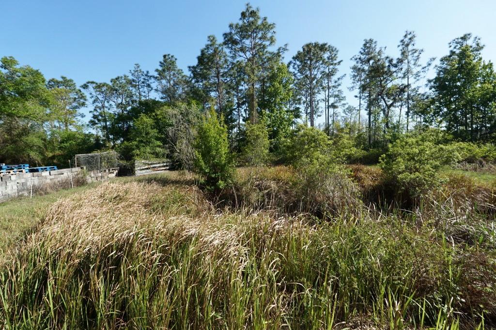 CANAVERAL ACRES 4 - Residential