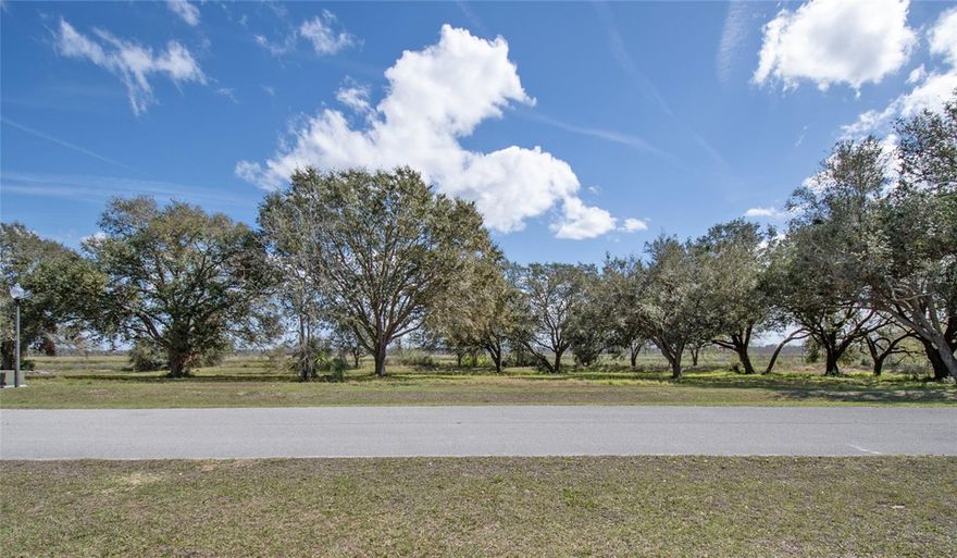 Waterfront lot on the chain of Lakes!  BUILD Your Dream Home with your Preferred Builder in the beautiful, gated community called Garden City. The size of the lot is 0.87 acres and offers plenty of room to design your home. Beautiful big oaks on the property.  The minimum building requirements include 3,800 square feet of living area under air, a tile or metal roof, and the option for up to two stories. Garden City is a gated and private community with easy access to the Florida Turnpike and only minutes to Clermont, Winter Garden and surrounding areas. Don't miss out on the opportunity to Build your Forever Home!