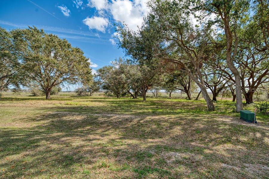 GARDEN CITY PH 01C TR A - Land