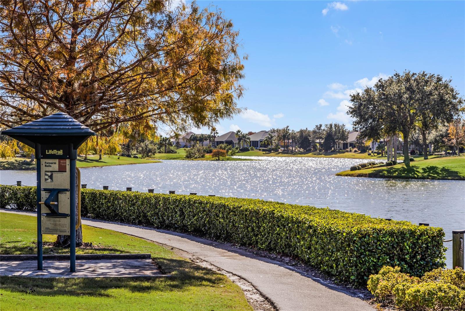 LAKES OF MOUNT DORA - Residential
